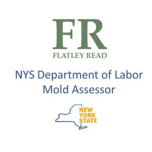 NYS Department of Labor Mold Assessor graphic