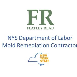 NYS Department of Labor mold remediation contractor graphic