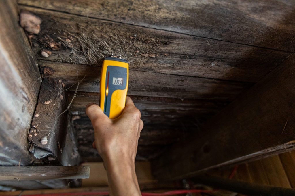 A close-up view of a home inspector at work in a residential basement, assessing signs of structural defects such as wood rot and dampness, with copy space.