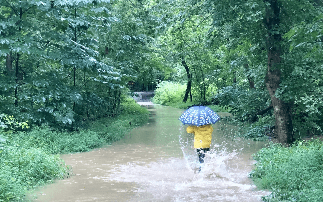 A child in a yellow raincoat carries a blue umbrealla with dinosaurs on it. They walk away from the camera while splashing through a flooded out rural road.