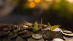 Greens sprout up from underneath a pile of coins